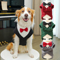 Autumn And Winter Pet Suits photo 2