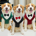 Autumn And Winter Pet Suits photo 1