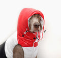 Pet Clothing Autumn And Winter Down Vest photo 3