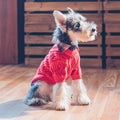 Pet Dog Clothes Sweater Autumn And Winter Clothes photo 5