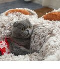 Plush Cathouse Doghouse Pet Bed Winter Warm Hand-shaped Brush Pet photo 10