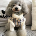 Winter pet cute cotton coat photo 1