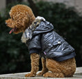 Warm autumn and winter fur collar coat for dogs photo 2