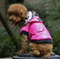 Warm autumn and winter fur collar coat for dogs photo 4