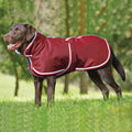 Autumn And Winter Warm Pet Leisure Waterproof Jacket photo 3