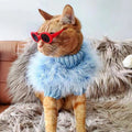 Pet Autumn And Winter Round Neck Sweater photo 10