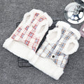 Winter pet cute cotton coat photo 2