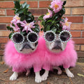 Pet Autumn And Winter Round Neck Sweater photo 5