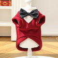 Autumn And Winter Pet Suits photo 7