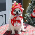 Pet Autumn And Winter Clothes And Dressing Supplies photo 6