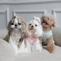 Autumn And Winter Embroidery Bear Vest Pet Clothes photo 6