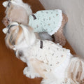 Autumn And Winter Embroidery Bear Vest Pet Clothes photo 8