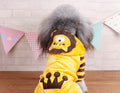Autumn And Winter Transformed Into Dog Pet Costumes photo 6