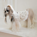 Autumn And Winter Embroidery Bear Vest Pet Clothes photo 7