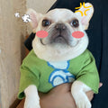 Pet Clothes Dog Cat Puppy Fall Winter Sweater photo 3