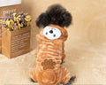 Autumn And Winter Transformed Into Dog Pet Costumes photo 7